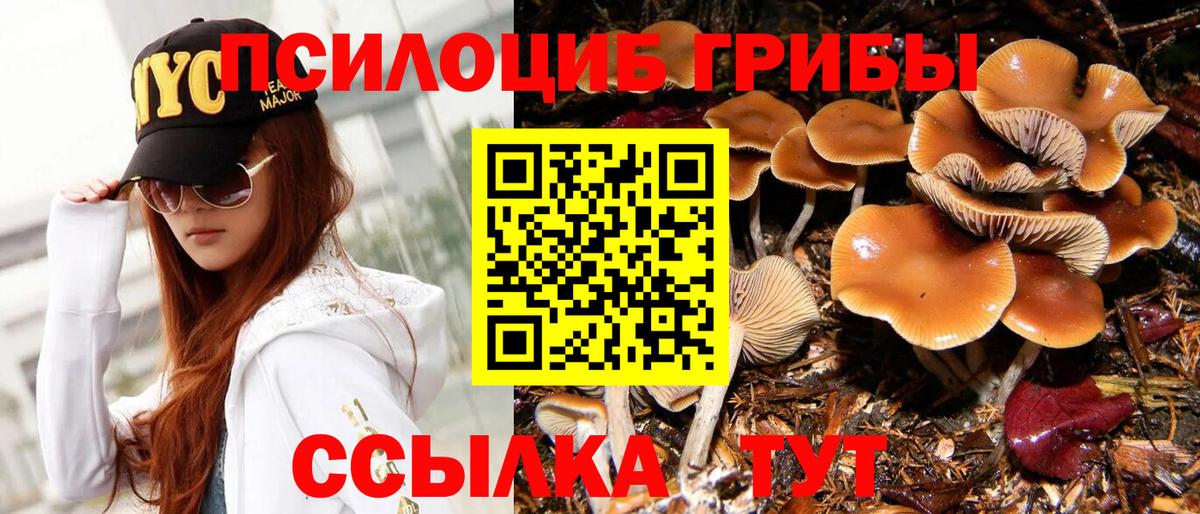 Псилоцибиновые грибы Psilocybine cubensis  Вход с VPN  Грозный 