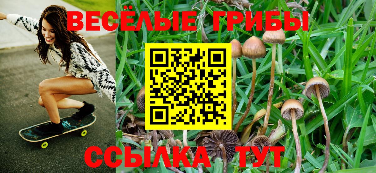 Псилоцибиновые грибы ЛСД Грозный